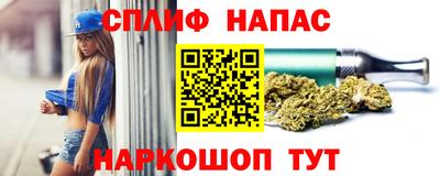 ПСИЛОЦИБИНОВЫЕ ГРИБЫ Краснодар