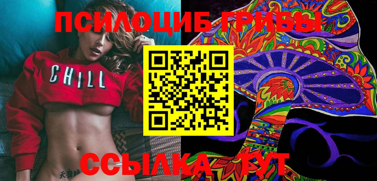 Псилоцибиновые грибы Psilocybe  Вход с VPN  купить  цена  Когалым 