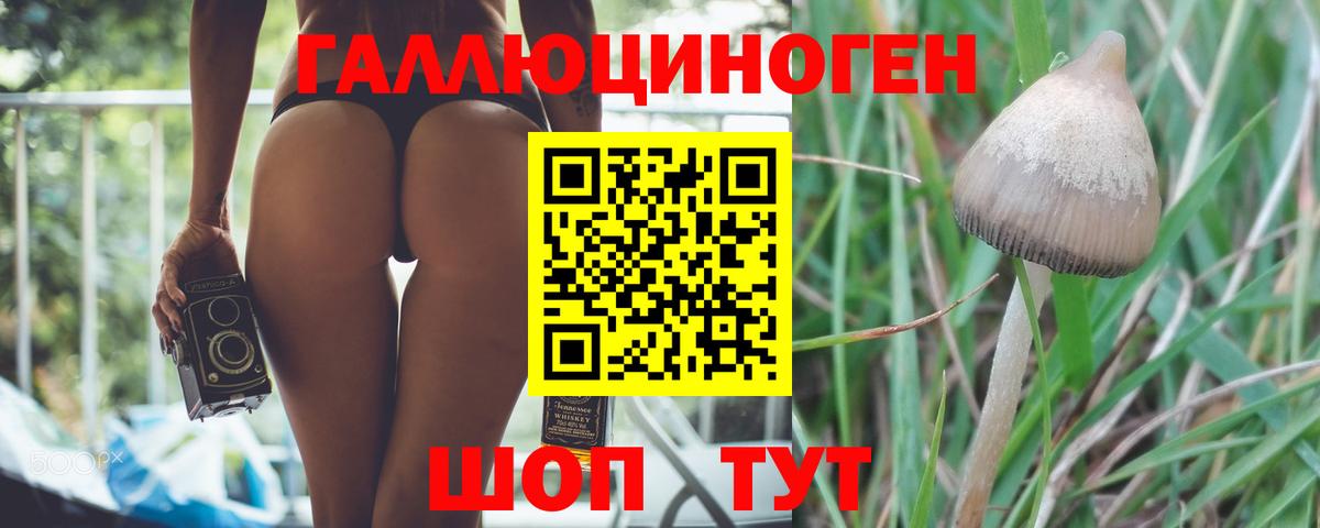 Галлюциногенные грибы GOLDEN TEACHER Когалым
